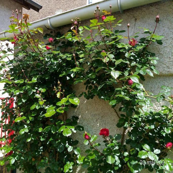 Maison Aux Portes Du Centre Historique De Dijon Avec 3 Chambres Et Garage Exteriör bild