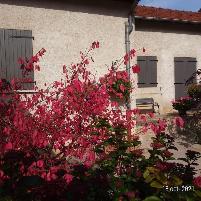 Maison Aux Portes Du Centre Historique De Dijon Avec 3 Chambres Et Garage Exteriör bild
